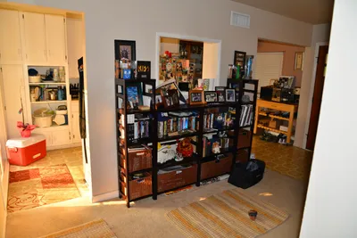 DSC_6917 (Large).JPG